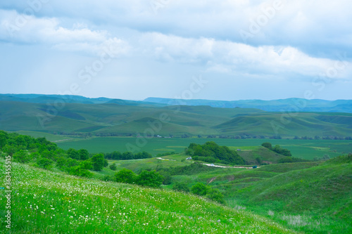 Mountain summer landscape with flowering plants