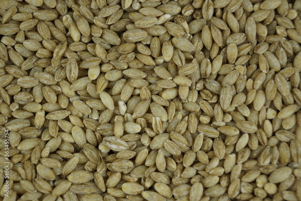 close up of cumin close up of cumin