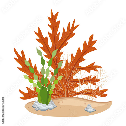 underwater seaweed, aquatic marine algae plant vector illustration design