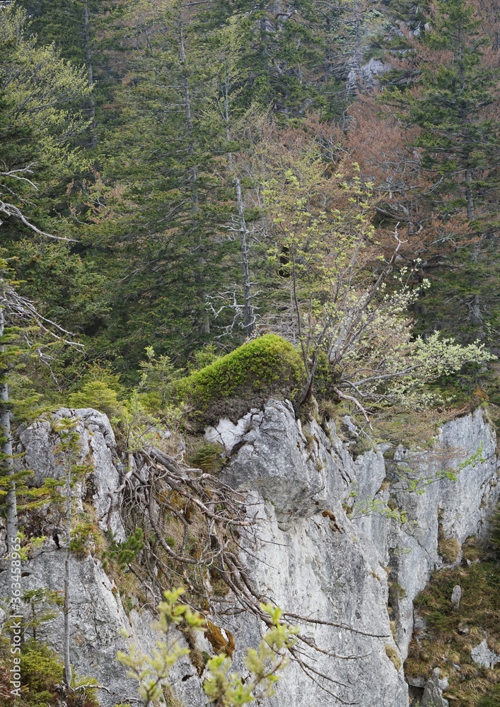 Wandern um die Gederer Wand Wandern um die Gederer Wand