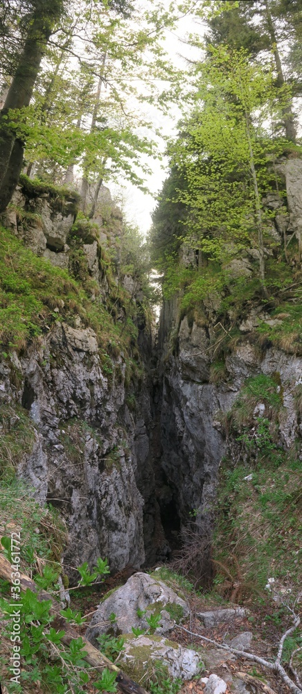 Fototapeta premium Wandern um die Gederer Wand