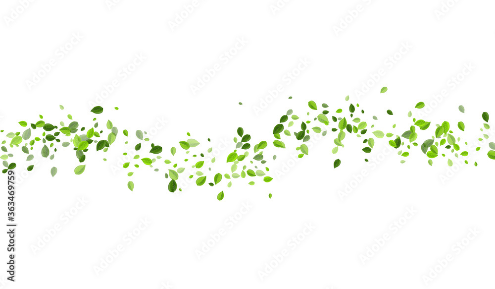 Forest Foliage Fresh Vector Branch. Flying Leaves Forest Foliage Fresh Vector Branch. Flying Leaves