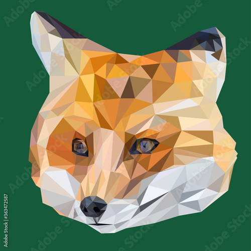 Red fox portret vector illustration made by colored triangles in low poly style. Stylish wild background to album on cover. Abstract realism