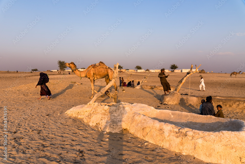 woman with camels in the desert, deep well is only water source in