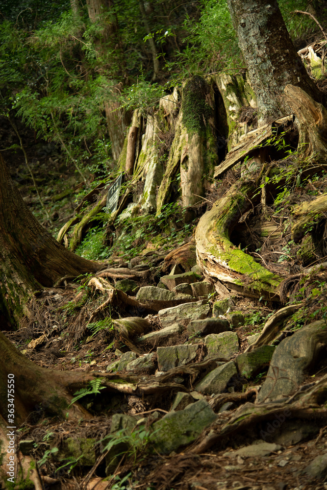 新城市　鳳来寺山