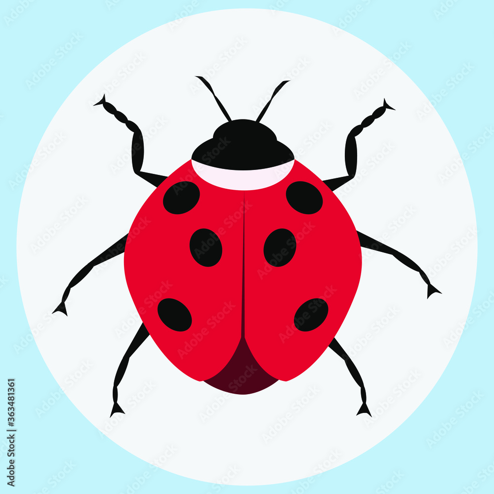 Fototapeta premium Cartoon drawing ladybug. flat style isolated on white background. vector illustration