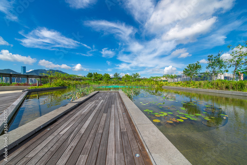 Dutch pool and wooden walkway in city center park under blue sky and white clouds. © 一飞 黄