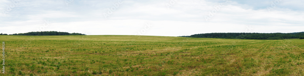 Panorama of an agricultural field in spring in cloudy weather