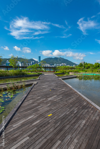 Dutch pool and wooden walkway in city center park under blue sky and white clouds.
