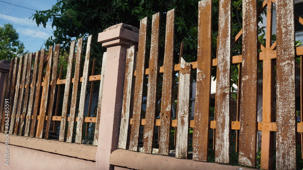 Fototapeta premium Old wooden fence in garden with plant