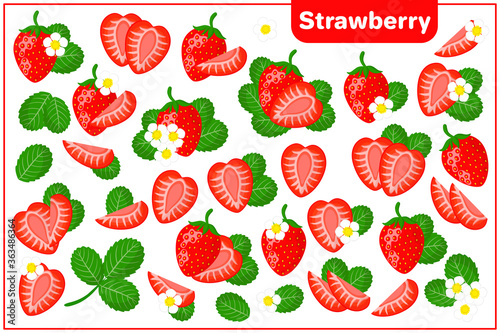 Set of vector cartoon illustrations with Strawberry exotic fruits, flowers and leaves isolated on white background