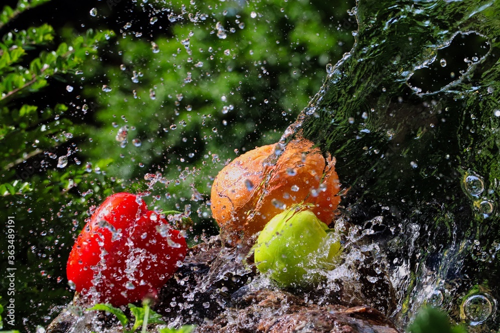 Pouring Water on Green Apple, Grapefruit and Red Pepper on Stone in Czech Republic. Freeze Motion of Fruits and Vegetable in Water Splash in the Garden. Pouring Water on Green Apple, Grapefruit and Red Pepper on Stone in Czech Republic. Freeze Motion of Fruits and Vegetable in Water Splash in the Garden.