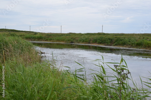 Fish place in Berdyuzhsky district Tyumen region
