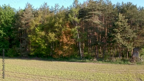 landscape with trees