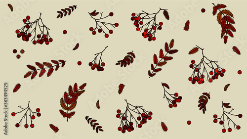Autumn theme of rowan berries and leaves, autumn-coloured leaves, red and orange rowanberries