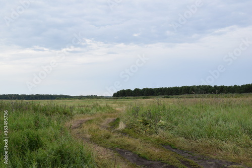 Fish place in Berdyuzhsky district Tyumen region