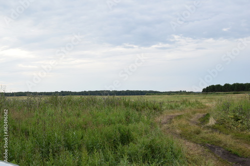 Fish place in Berdyuzhsky district Tyumen region