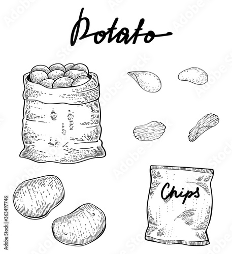 Sack of potatos, tubers and bag of chips, hand drawn vector, engraving style