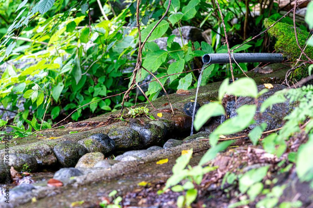 【環境イメージ】山から流れ出す水