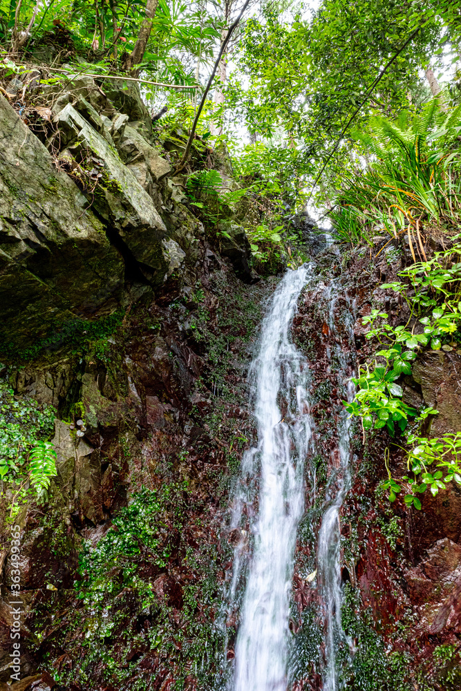 【環境イメージ】山から流れ出す水 【環境イメージ】山から流れ出す水