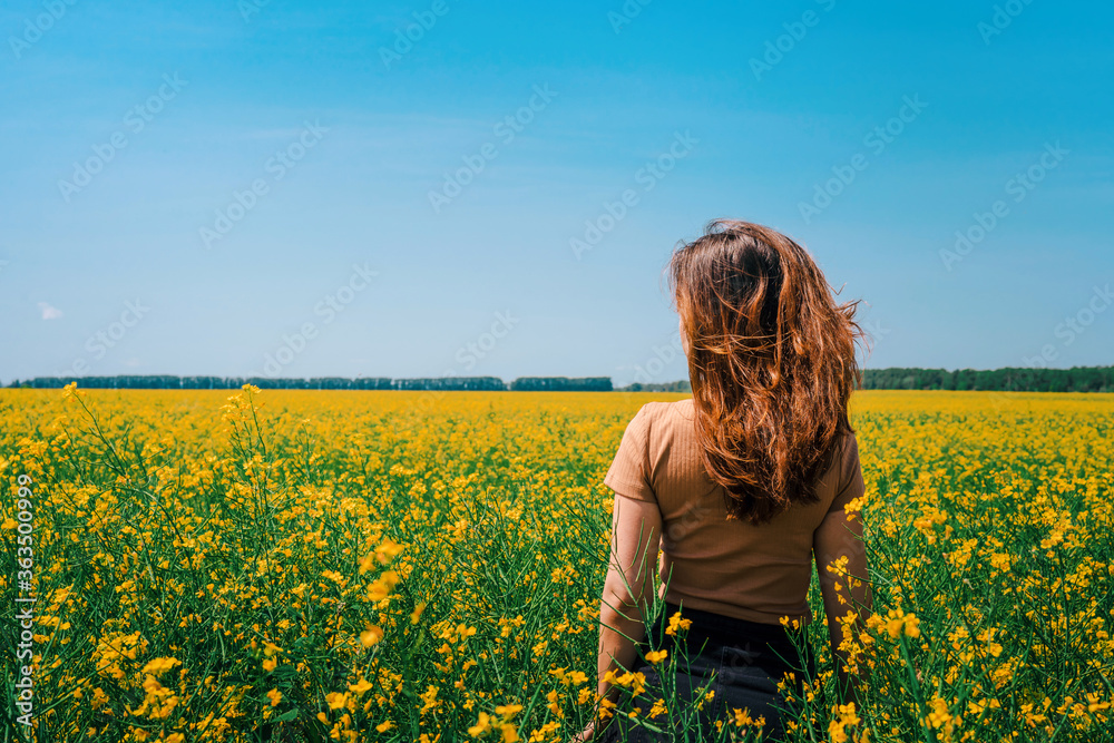 Fototapeta premium A woman with long hair walks in a rapeseed field, a photo taken from the back, the concept of flowering and summer day, a place for the text banner