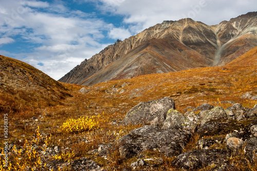 Autumn mountain landscape. The nature of the polar region. Traveling and hiking in the Arctic. Location: Iskaten Ridge, Chukotka, Siberia, Far East Russia.