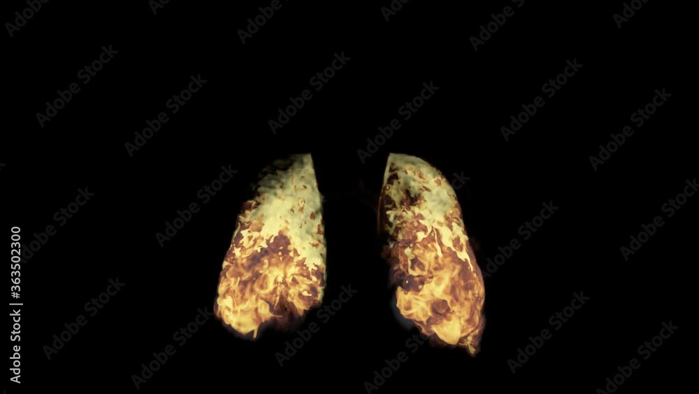 VFX Animation of Lungs filled Fire and Smoke, isolated on green background. VFX Animation of Lungs filled Fire and Smoke, isolated on green background.