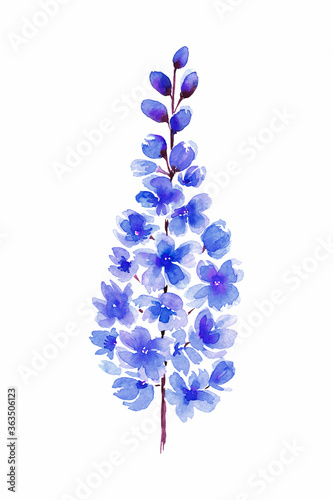 Fotobehang Blue Delphinium flowers painted in watercolor on a white background