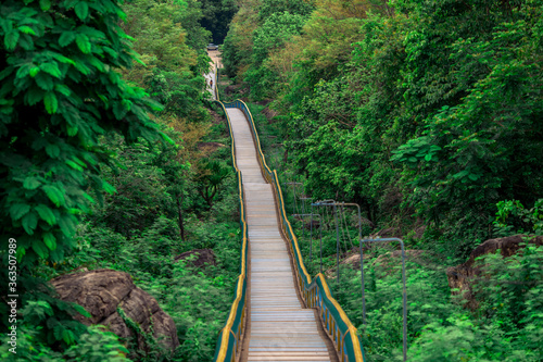 Fototapeta Naklejka Na Ścianę i Meble -  Background of wooden walkways (wooden bridges) created for high-angle views on mountains, natural attractions, or parks that have forest preservation