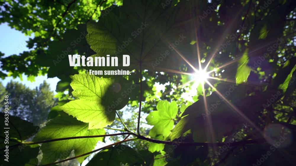 Vitmain D from sunshine, for the health of your immune system.

Tracking shot of sun through leaves with on screen graphics appearing.