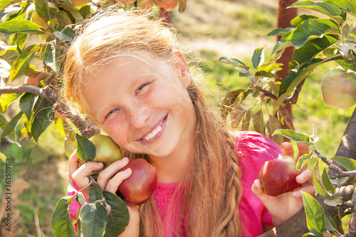 Child (girl) is near apple tree. Healthy food. photo