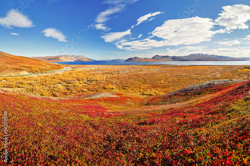 Picturesque autumn arctic landscape. Colorful autumn tundra. Beautiful northern nature of the polar region. Location: Penkigney Bay, Senyavin Strait, Bering Sea, Chukotka, Siberia, Far East of Russia.