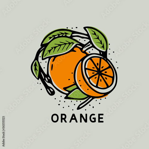 Orange fruit with leaf vintage hand drawn illustration