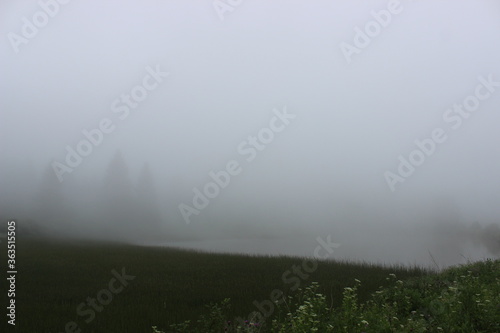 Im Nebel