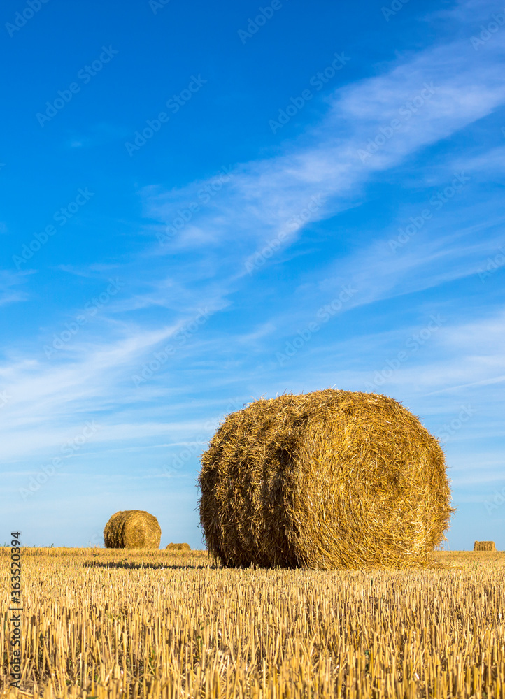 Amazing Golden Hay Bales
Hay bales on rural landscape,Minsk,Belarus
