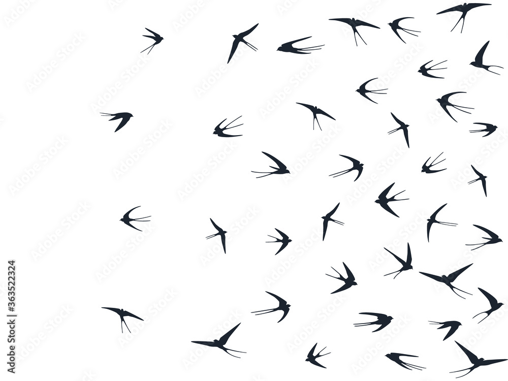 Flying martlet birds silhouettes vector illustration. Nomadic martlets bevy isolated on white. 