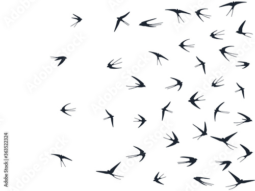 Flying martlet birds silhouettes vector illustration. Nomadic martlets bevy isolated on white. 