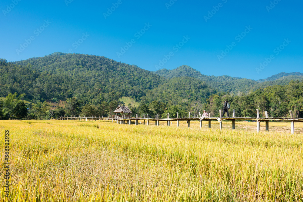Obraz premium Beautiful scenic view from Pai Bamboo Bridge (Boon Ko Ku So) in Pai, Mae Hong Son Province, Thailand.