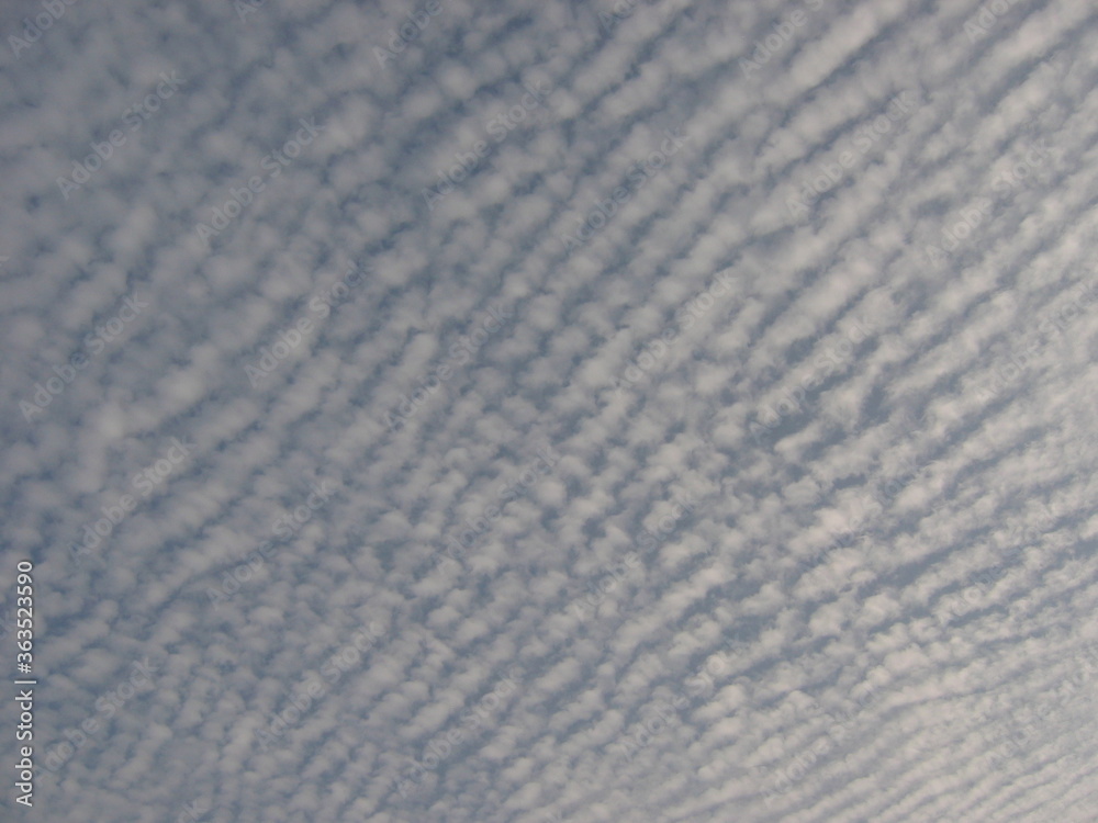 Obraz premium Am Nil