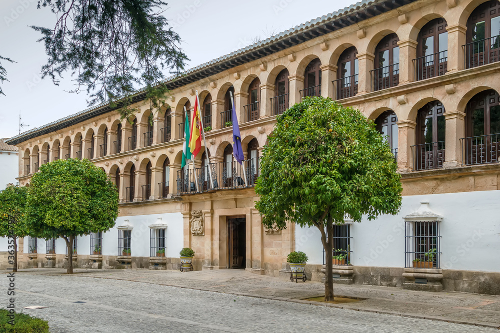 Town Hall in Ronda, Spain