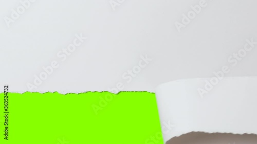 female hand tears off part of white cardboard banner, concept advertising, revealing green screen with copy space