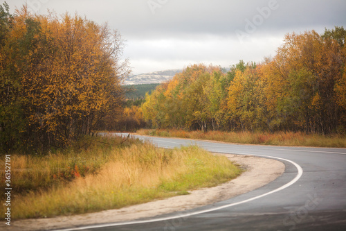 Road curve to Mountain in Autumn Season  Murmansk  Russia