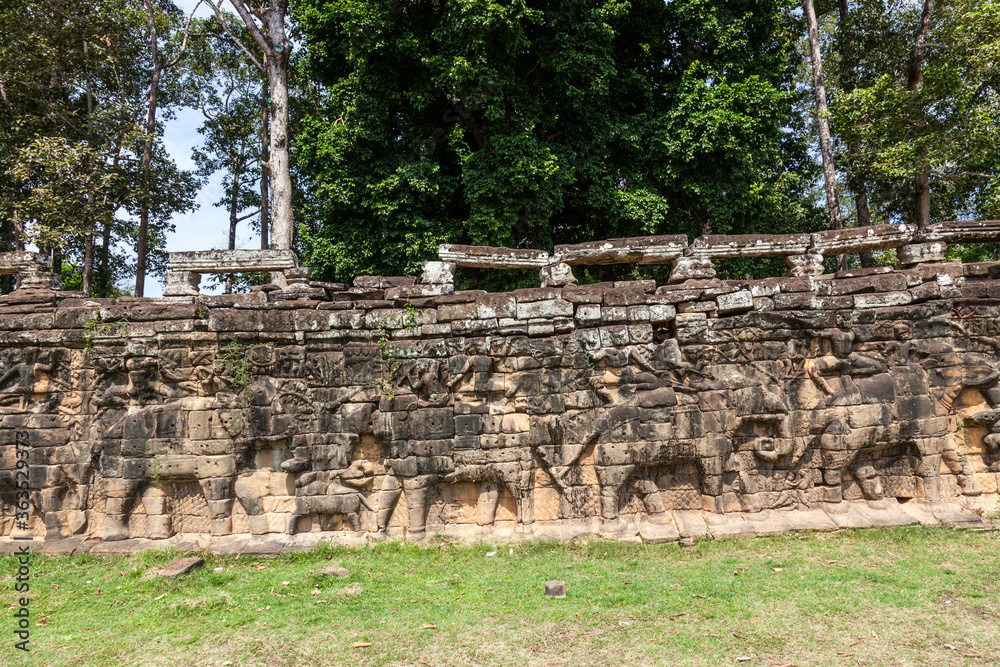 Fototapeta premium elephant terrace