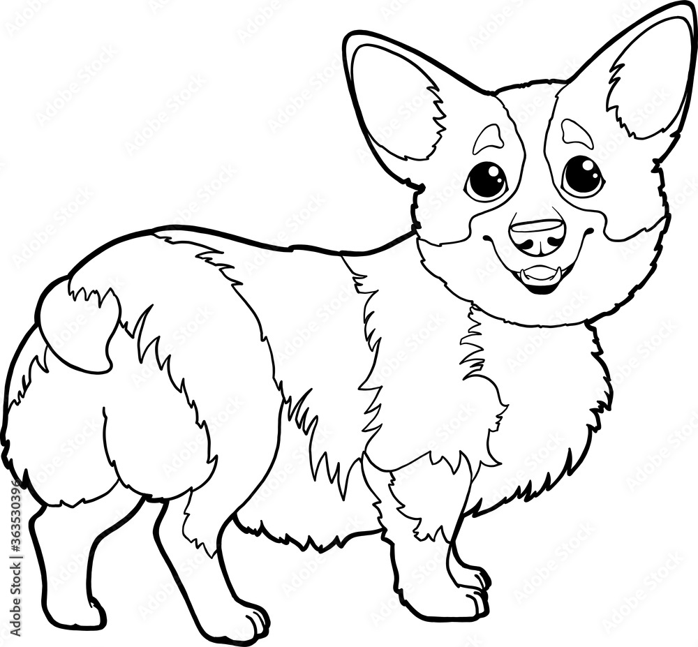 Cute cartoon character Corgi dog. Vector corgi puppy on a white background isolated. Page for coloring book. Coloring book for children's creativity.