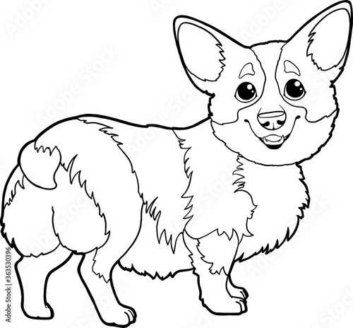 Cute cartoon character Corgi dog. Vector corgi puppy on a white background isolated. Page for coloring book. Coloring book for children's creativity.