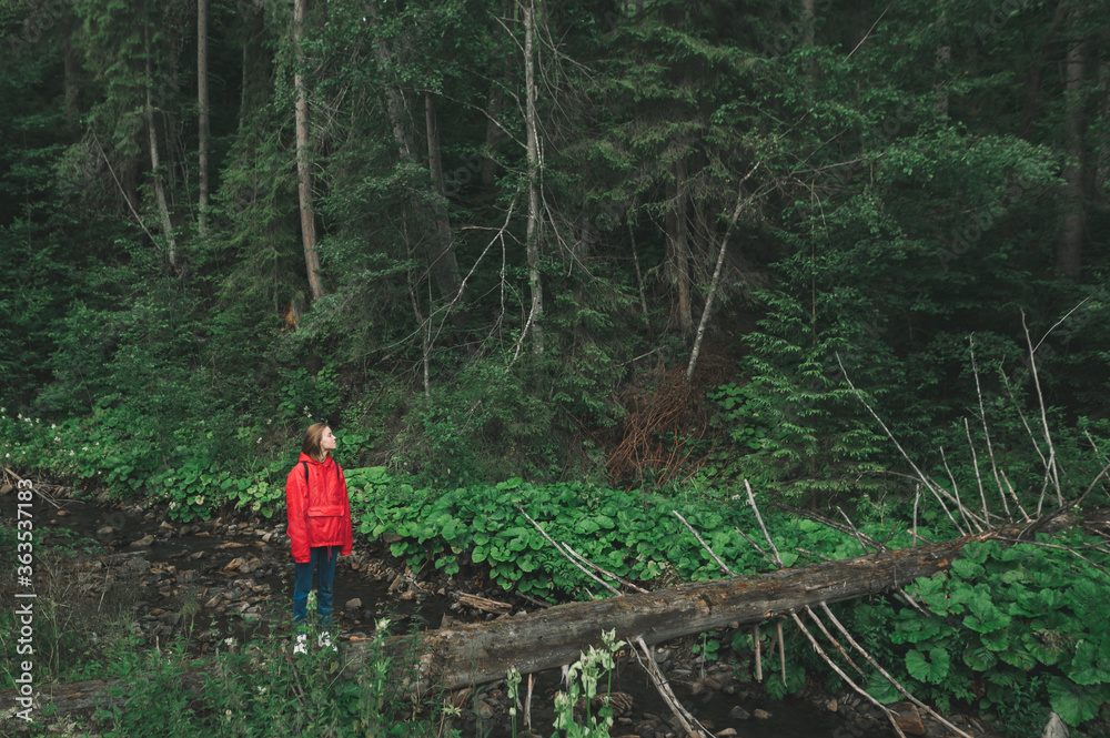 Minimalistic photo of young tourist girl in red raincoat jacket looking aside, feeling relaxed in fir forest near mountain river. Horizontal shot of female hiker standing on tree trunk in woods.