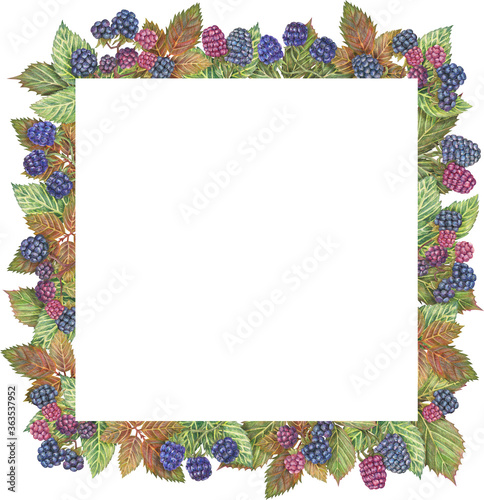 Hand-drawn square frame of blackberry and leaf. Graphic border drawn with colored pencils. Botanical composition for the design of invitations, logos, cards, printed materials and more.