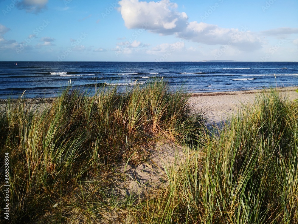 Marram grass and Baltic Sea view