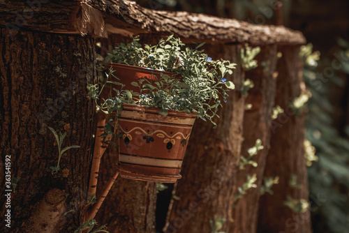 Vintage flower pot in a tree arrangement in nature