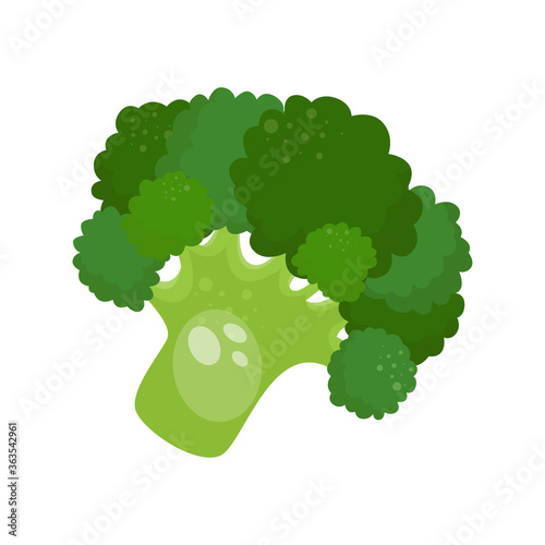 Cartoon fresh organic green broccoli icon. vector illustration.